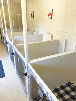 Individual stalls inside small dog house.